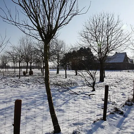 Vakantie Appartement De Sneppelhoeve Wuustwezel Zimmer foto