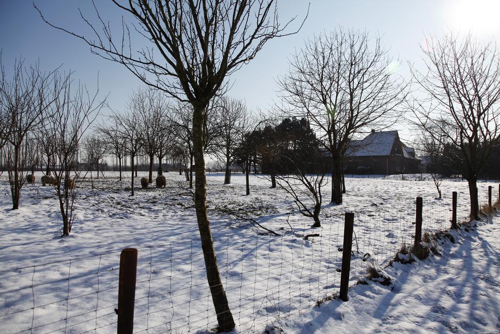 De Sneppelhoeve Apartment